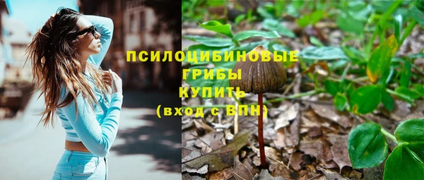дживик Магас
