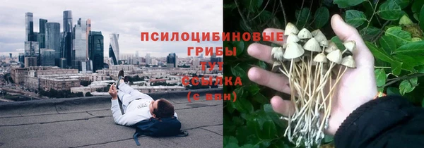 каннабис Майский