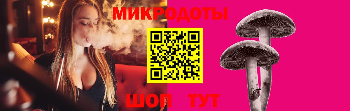 Галлюциногенные грибы Psilocybine cubensis Юрга