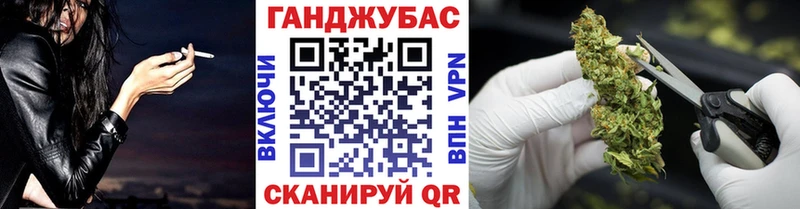 где продают наркотики  Юрга  МЕГА зеркало  МАРИХУАНА сатива 